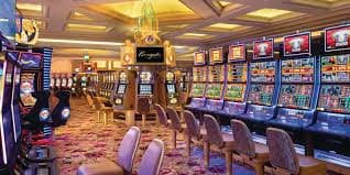 sontogel
